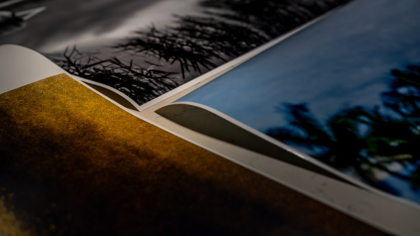 特写镜头的印刷单色和彩色照片图片下载