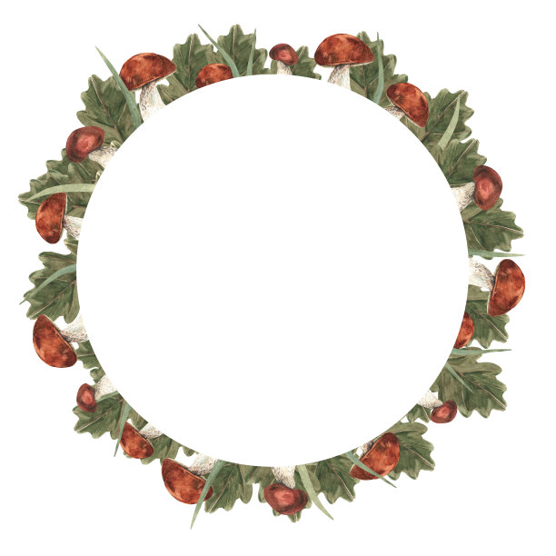 圆形框架的牛肝菌，橡树叶和绿色的草。水彩手绘插图。元素用于设计请柬，电影海报，织物和其他物品图片下载