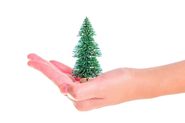 玩具圣诞树在手图片下载