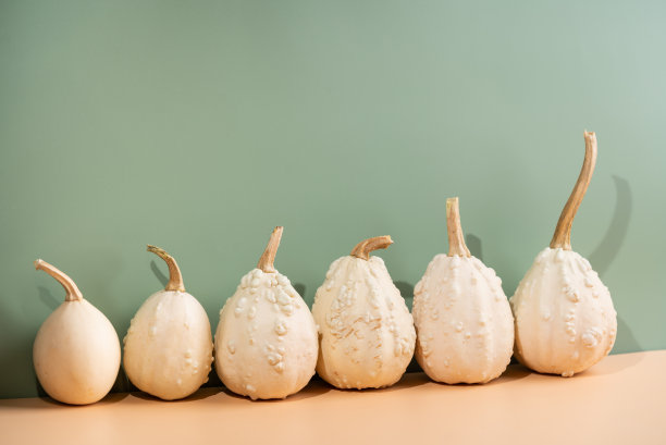 装饰南瓜在浅橙色图片下载