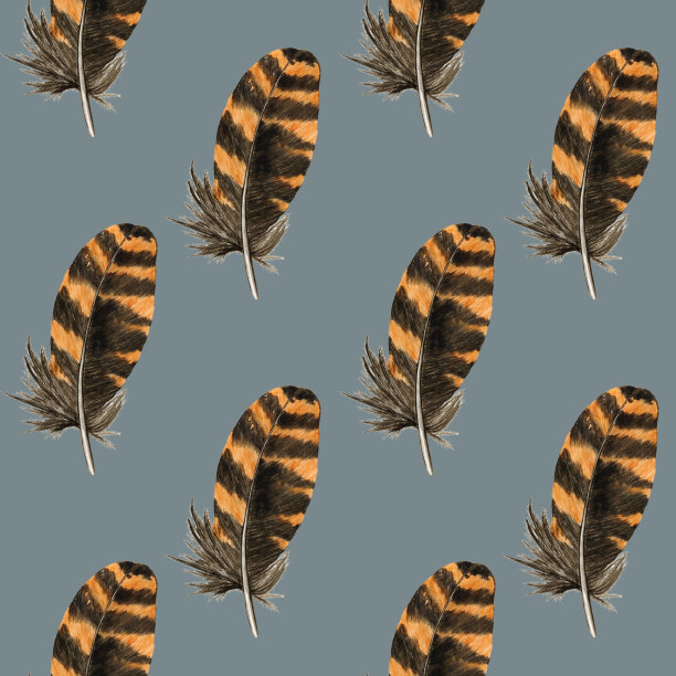 灰色背景上的羽毛无缝图案。水彩手绘插图。写实画条纹羽为壁纸，纺织品，重复质感。图片下载
