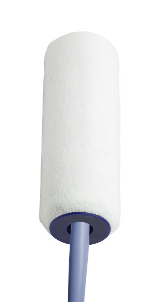 用于清洁白色背景上的衣物和家具灰尘的粘性刷子图片下载