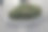 是金银花科的一种常绿灌木，可长到1米高。它来自中国，也种植在捷克共和国作为观赏树，在花坛作为修剪盖图片下载