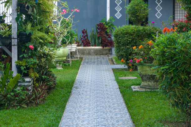 连接建筑物各部分的行人通道或步行通道。周围有花草的通道或步道图片下载