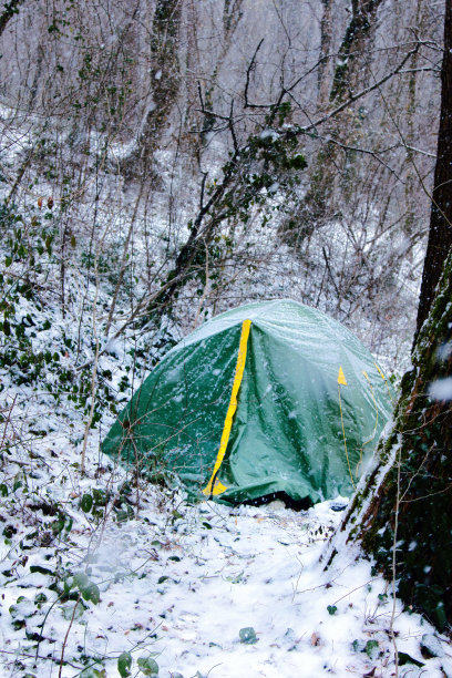 帐篷被雪覆盖，徒步旅行者在森林里过夜图片下载