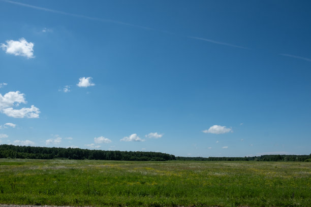 在季节开始的时候耕种。图片下载