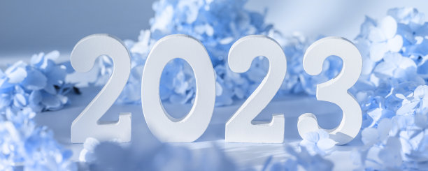 白色木号2023在柔和的蓝色背景与花。俯视图，平铺。2023年新年快乐。横幅图片下载