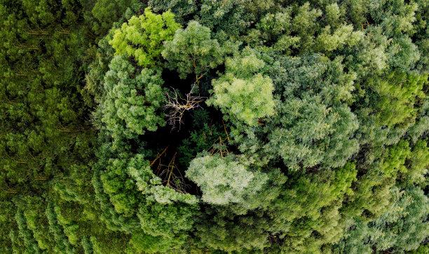 插图背景与彩色颜料和图案图片下载