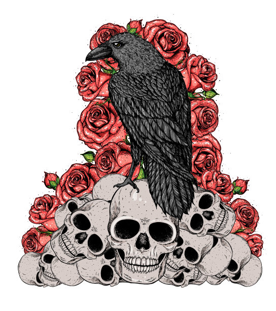黑鸦栖息在头骨上。骷髅，乌鸦和玫瑰手绘插图。纹身复古印花。头骨手绘版画。纹身设计。一堆头骨，鲜花和乌鸦。图片下载
