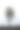 日落树的剪影在田野。图片下载