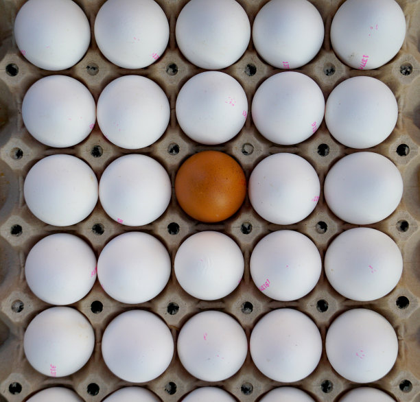 一盒白鸡蛋和一个棕鸡蛋，区别和食物概念。图片下载
