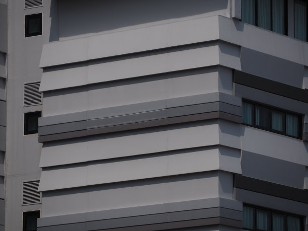 小熊带白灰和白光。图片下载