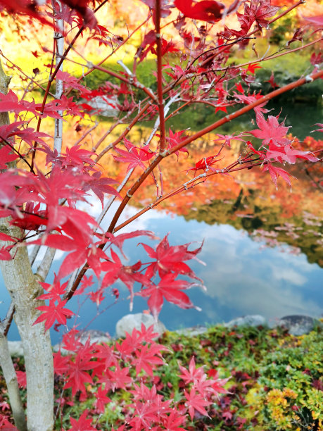 日本京都的秋天图片下载