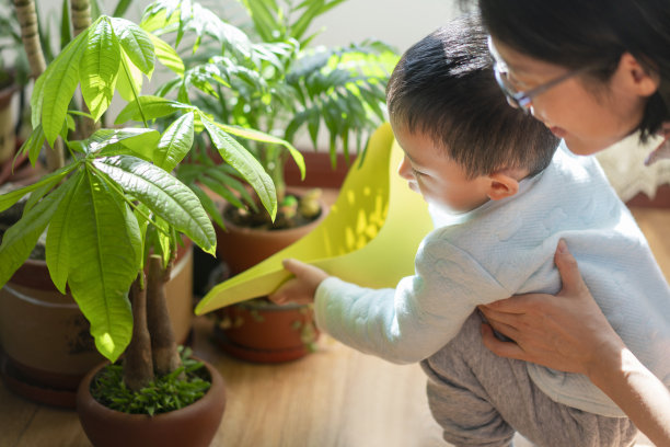 婴儿和母亲图片下载