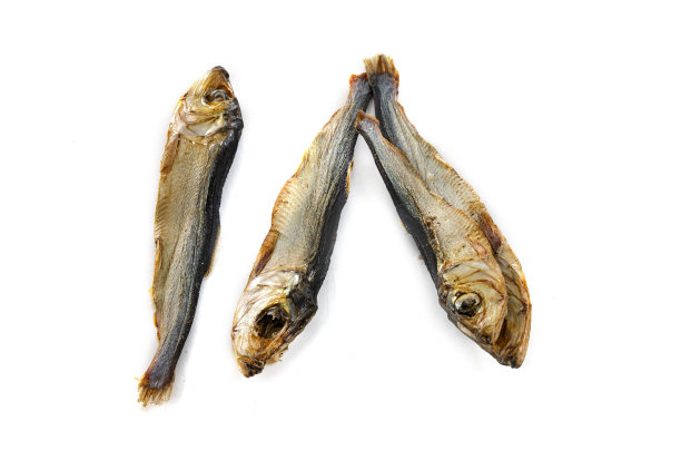 干sprat在工作室图片下载