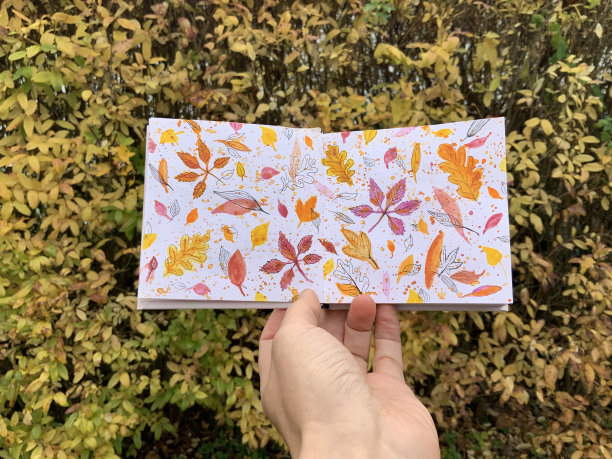 大自然中的图案写生簿图片下载