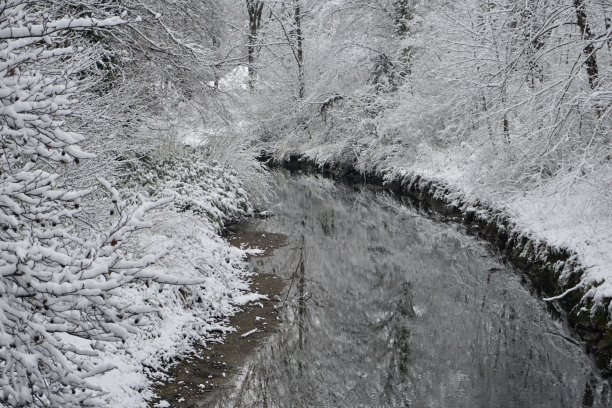 河边有被雪覆盖的灌木和树木。河上有一座被雪覆盖的桥，到处都是树和灌木。冬天在巴德艾布林的城市公园。图片下载