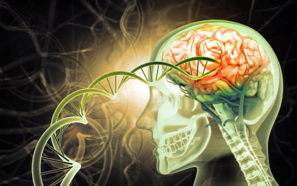 遗传学背景下的DNA结构。三维演示图片下载