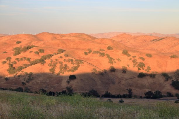 东湾绵延起伏的山丘通向加州利弗莫尔的中央山谷图片下载