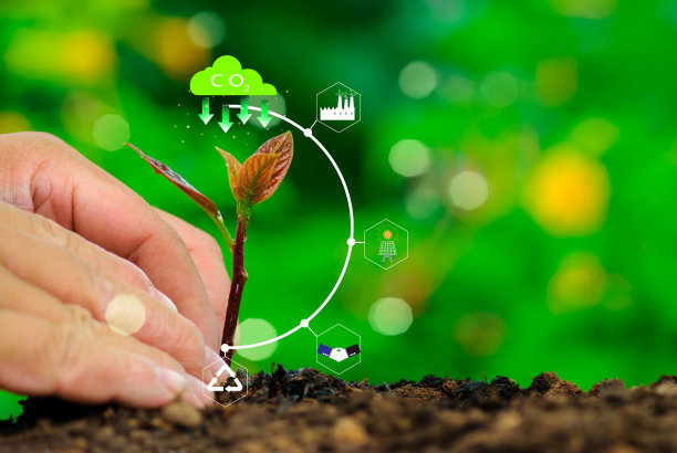 减少二氧化碳的概念。亲手种植带有环保标志的树木。全球变暖。可持续发展。太阳能和绿色商业，可再生能源，未来的可持续性，ESG图片下载