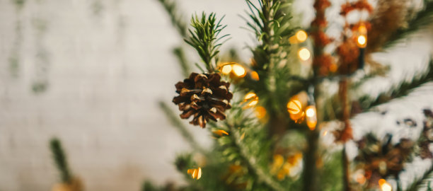 美丽的圣诞树与自然的装饰。图片下载