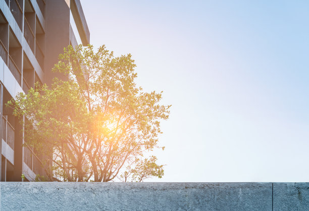 亚洲某居民楼屋顶上的美丽花园，建筑上的花园，温暖的光线，清澈的天空和可供复制的空白空间。图片下载