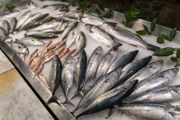 鱼店里冷却的海鲜特写图片下载