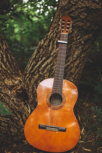 垂直镜头:一把吉他斜靠在森林中央的树干上图片下载