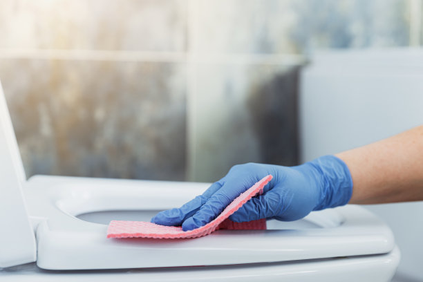 女士用手清洁抽水马桶，用洗衣粉、粉布、湿抹布擦图片下载