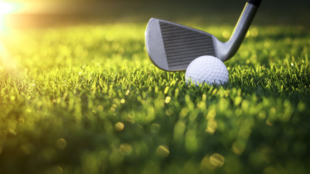 高尔夫球近距离在球座草地上模糊的美丽景观高尔夫背景。概念国际运动，依靠精确的技能为健康放松…图片下载