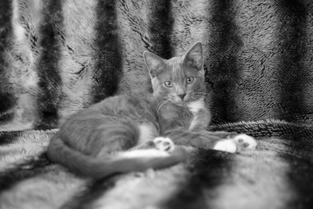 午睡时间图片下载