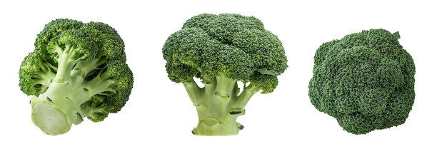 白花椰菜分离株图片下载