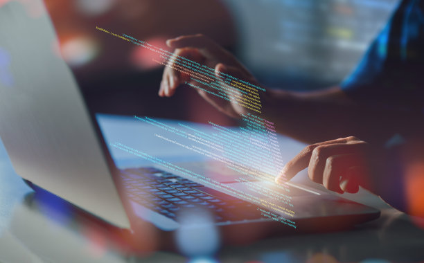 从事计算机代码数字技术的IT程序员。计算机科学项目的概念，为商业数据分析编写软件代码脚本。图片下载