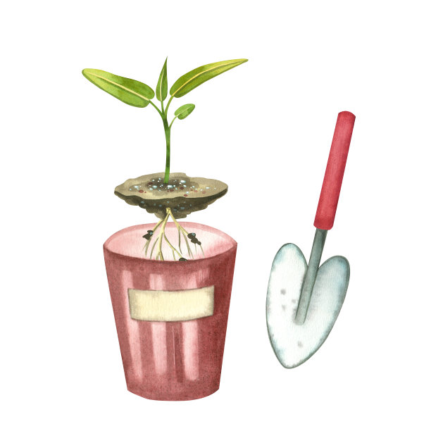 一组水彩画插图。园艺。一个有苗芽的罐子，土壤，铲土的铲子。供印刷、包装、设计师使用。图片下载