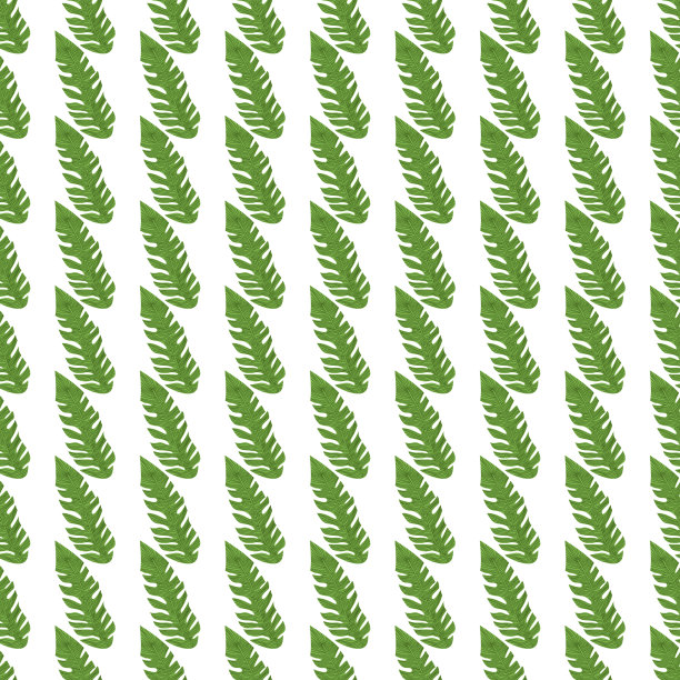 图形热带图案，棕榈叶无缝花背景。图片下载