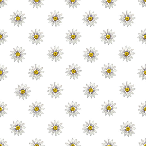 与雏菊无缝模式。水彩插图。用于纺织和装饰背景，用于包装。图片下载