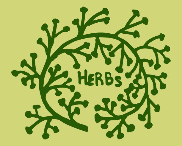 简单的树枝图。草药和植物的概念。矢量插图。图片下载