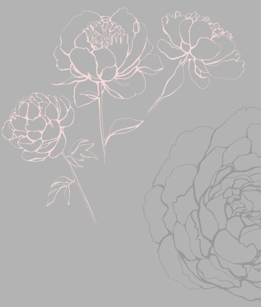 艺术与插画图片下载