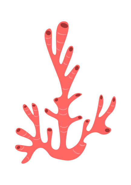 海草珊瑚海洋植物。矢量图图片下载