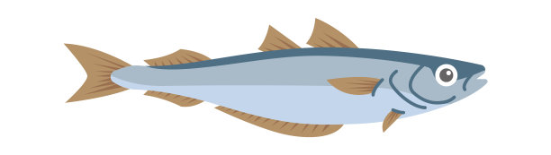 鳕鱼海鱼。矢量图图片下载