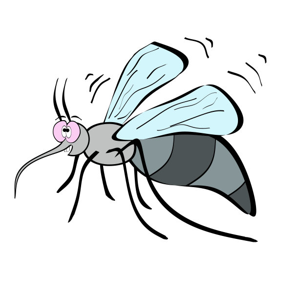 蚊子。白色背景下飞翔的有趣蚊子。图片下载