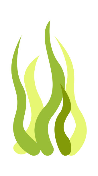 海草。矢量图图片下载