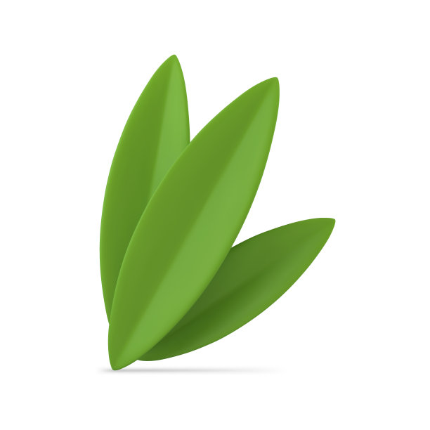 树叶，异国情调的花卉植物植物光泽装饰元素生态设计3d图标现实的矢量图片下载