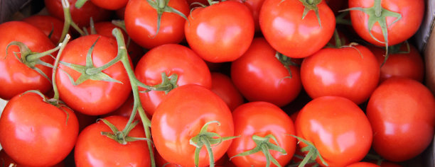 市场上的西红柿图片下载