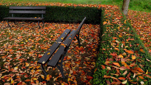 公园里有常绿灌木的篱笆。广场的人行道上放着长凳。花岗岩瓷砖马赛克。灌木修剪用树篱修剪器，耙子，叶子，保养，覆盖图片下载