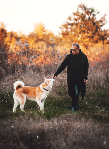 英俊的男人在大自然中遛狗。男人和秋田犬图片下载