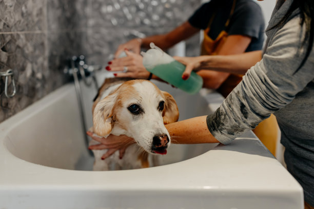 什么时候结束?图片下载