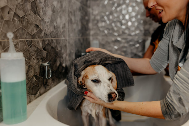 已经结束了吗?图片下载