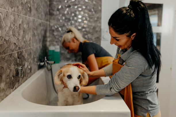 请温柔一点图片下载