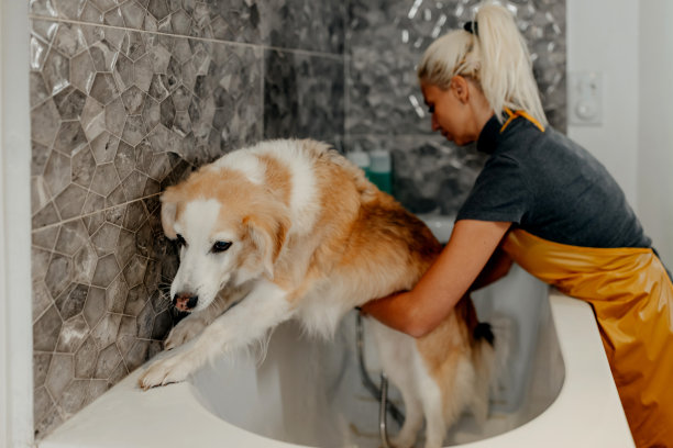 我总得想办法逃出去图片下载